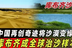库布齐成全球治沙样本！三分之一沙漠已成绿洲，科技种树创奇迹。视频封面