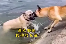 “你当然珍贵啊，你可是我最好的朋友呢”