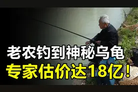 河南老农钓到神秘乌龟，背上竟插有四支箭，专家预估价值18亿视频封面