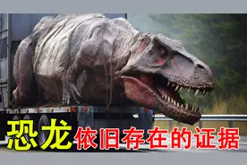 恐龙难道还活着？有人在野外用相机拍到了恐龙视频封面