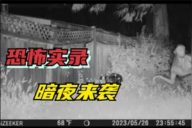 是什么在深夜的黑暗里捕食人类？《捕风捉影》第一集