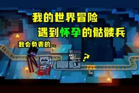 笑哭了：骷髅兵也能怀孕吗（我的世界）