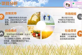 “互联网+”大学生创新创业大赛系列公开课5：红旅农业项目实战视频封面