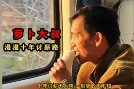 十年讨薪无人晓，一根萝卜天下知视频封面