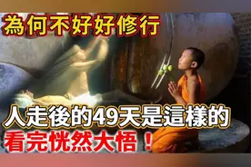 一本揭示生命意义，记录灵魂不灭的经典文献！為何你不在