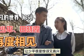 平凡的世界（35）：少平为户口做上门女婿，终与晓霞再相遇。视频封面