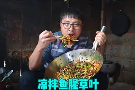 春天的野菜吃不停，冬宝挖一篮子鱼腥草叶，和糊辣椒凉拌，吃过瘾视频封面