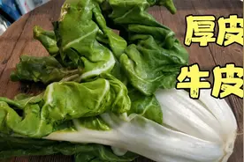 牛皮菜又叫厚皮菜，四川人喜欢这样做，入味下饭给肉都不换视频封面