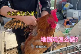 大公鸡怎么宰杀？大厨教你如何杀做一道地锅鸡，学会在家露一手！