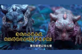 徐凤年机遇收养虎夔，傲视群雄的菩萨金刚到底有多强？视频封面