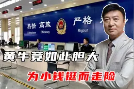 黄牛竟敢入侵交管12123系统，他们又是被如何处置的呢？视频封面