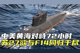 1994年中美黄海对峙，我潜艇被围困72小时，苏27欲与F14同归于尽视频封面