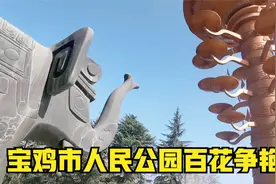 3月26日 去宝鸡市人民公园拍郁金花。@视频封面