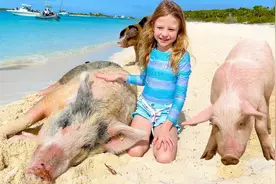 萌娃趣味故事：娜斯佳和她的家人去猪岛旅行视频封面