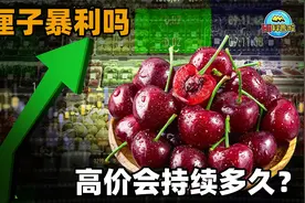 卖车厘子真的很暴利？有中国人去智利从事生意，结果令人扼腕叹息视频封面