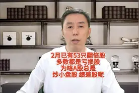 2月已有53只翻倍股，多数都是亏损股！为啥总是炒小盘股 绩差股呢视频封面