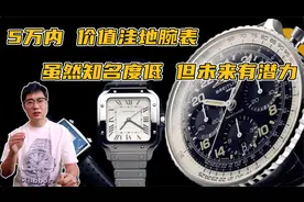 5万内价值洼地的名表，国内少有问津，海外价值极高，有潜力视频封面