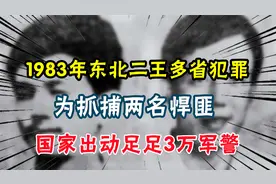 1983年东北二王多省犯罪，为抓捕两名悍匪，国家出动足足3万军警视频封面