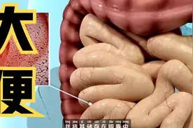 吃进去的食物是如何变成大便的？原来经历了那么多流程！视频封面