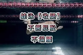 蛙泳「撅屁股」or「塌腰」？问题出在收腿上！