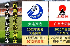 1994年甲A职业化元年十二支创始球队今何在视频封面