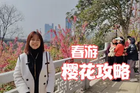 又到了一年武汉樱花季，这份龟山公园春游赏花攻略，请收好