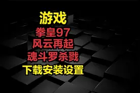 拳皇97风云再起，魂斗罗杀戮-下载安装设置