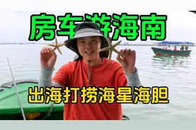 房车自驾疍家渔排，被称为海上吉普赛人，第一次出海打捞海星海胆视频封面
