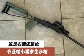 玩具？衣架？还是生存步枪？简单到极致的意大利小獾求生步枪视频封面
