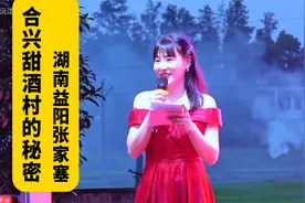 湖南益阳张家塞合兴甜酒村的秘密视频封面