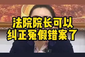 法院院长可以纠正冤假错案了.视频封面