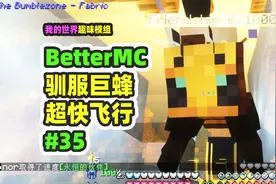 我的世界：BetterMC35，驯服巨蜂带回家，速度比鞘翅还快