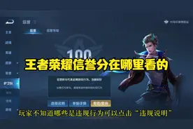 王者荣耀信誉分在哪里看的？