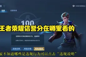 王者荣耀信誉分在哪里看的？