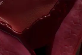 详细了解你的经期全过程