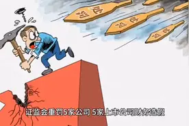 证监会重罚5家公司财务造假、大股东占用资金等信息披露违法案件视频封面