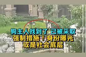 狗主人找到了，已被采取刑事强制措施！身份曝光，或是社会底层视频封面