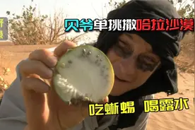 贝爷前往沙漠冒险，发现了沙漠小西瓜，但他一口也不敢吃！视频封面