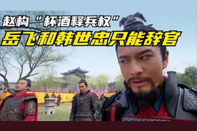 赵构杯酒释兵权，岳飞韩世忠都告老还乡，但结局截然不同《岳飞》视频封面