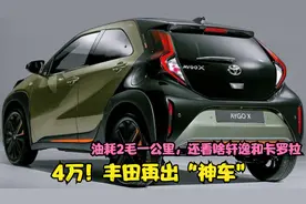 5万！丰田再出“神车”，油耗2毛一公里，还看啥轩逸和卡罗拉视频封面