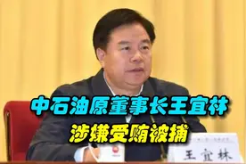 中石油原董事长王宜林涉嫌受贿被捕，退休4年后落马视频封面