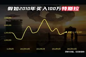 燃！2020年买入100万特斯拉，持有不动，如今暴涨到多少钱了？视频封面