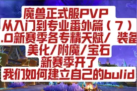 魔兽世界正式服PVP 从入门到专业番外篇 第7期（装备/附魔/美化）