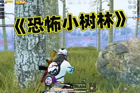 麦克吃鸡日常之《恐怖小树林》视频封面