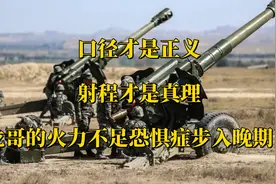 口径才是正义，射程才是真理，龙哥的火力不足恐惧症步入晚期视频封面