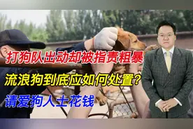 打狗队出动却被指责粗暴，流浪狗到底应如何处置？请爱狗人士花钱