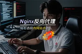 #创作灵感 nginx反向代理，实现外网域名访问内网站点#程序员视频封面