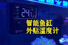 一款能自动检测鱼缸水温的外挂温度计视频封面