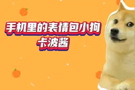 手机里的表情包小狗~卡波酱视频封面