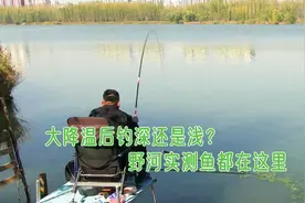 大降温后钓深水还是浅水？钓位应该如何选？野河实战效果一目了然